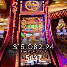 Live Casino 5637