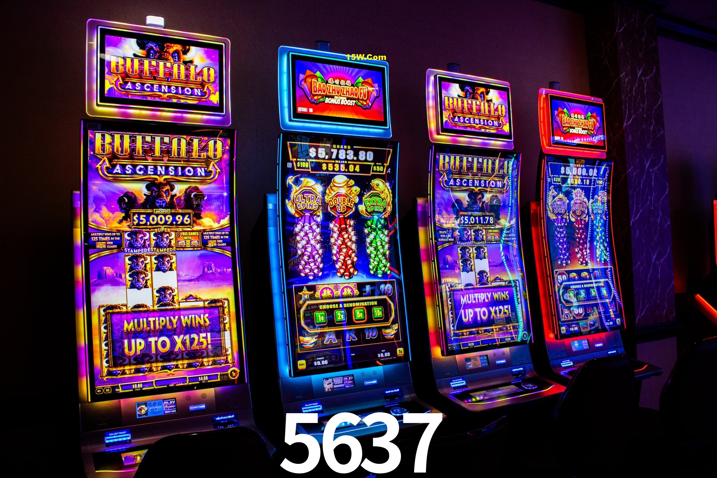 Player Reviews 5637